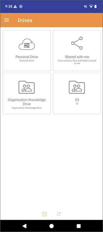 Storage Drives icon view