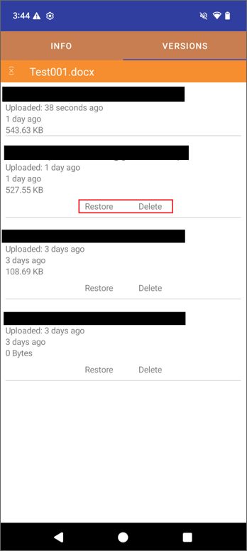 File Versions