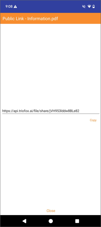 Public Link