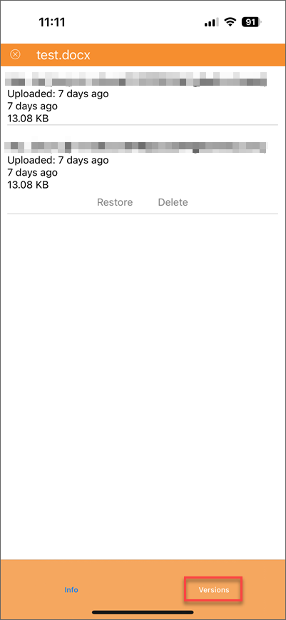 File Versions