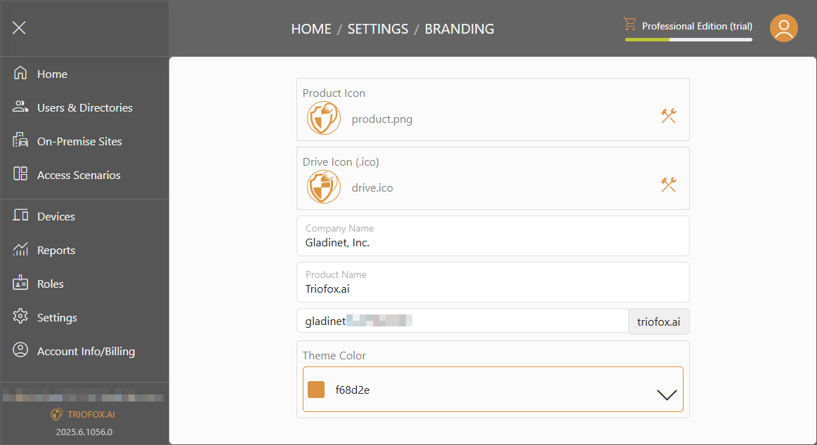 Triofox.ai Settings - Branding