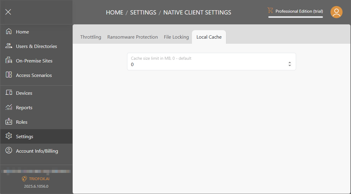 Triofox.ai Settings - Local Cache